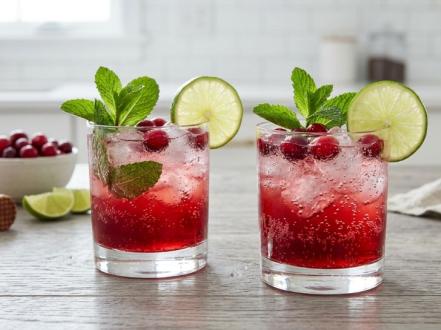 Cranberry Lime Mocktail  –  A Bright, Bubbly Escape From Boring Beverages photo